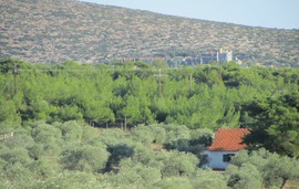 moonbeam hotel pefkari view 3